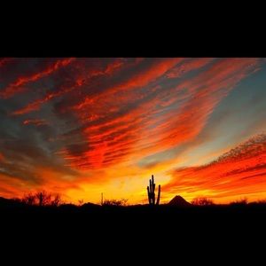 Meet your Posher, Bailey